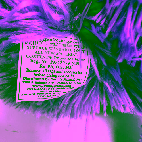 Purple Floppy Chuck E.