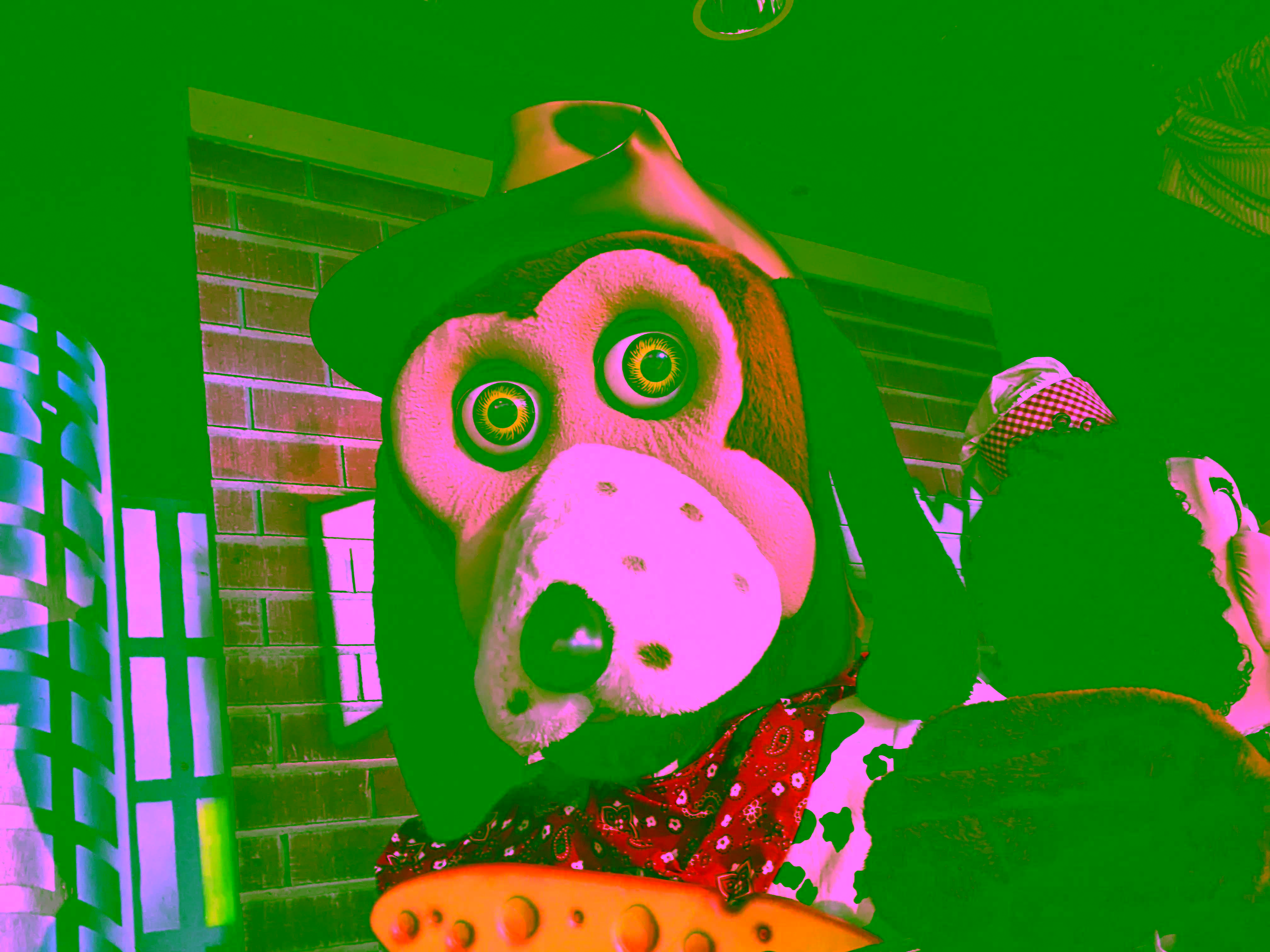 Huntington Beach photo.
