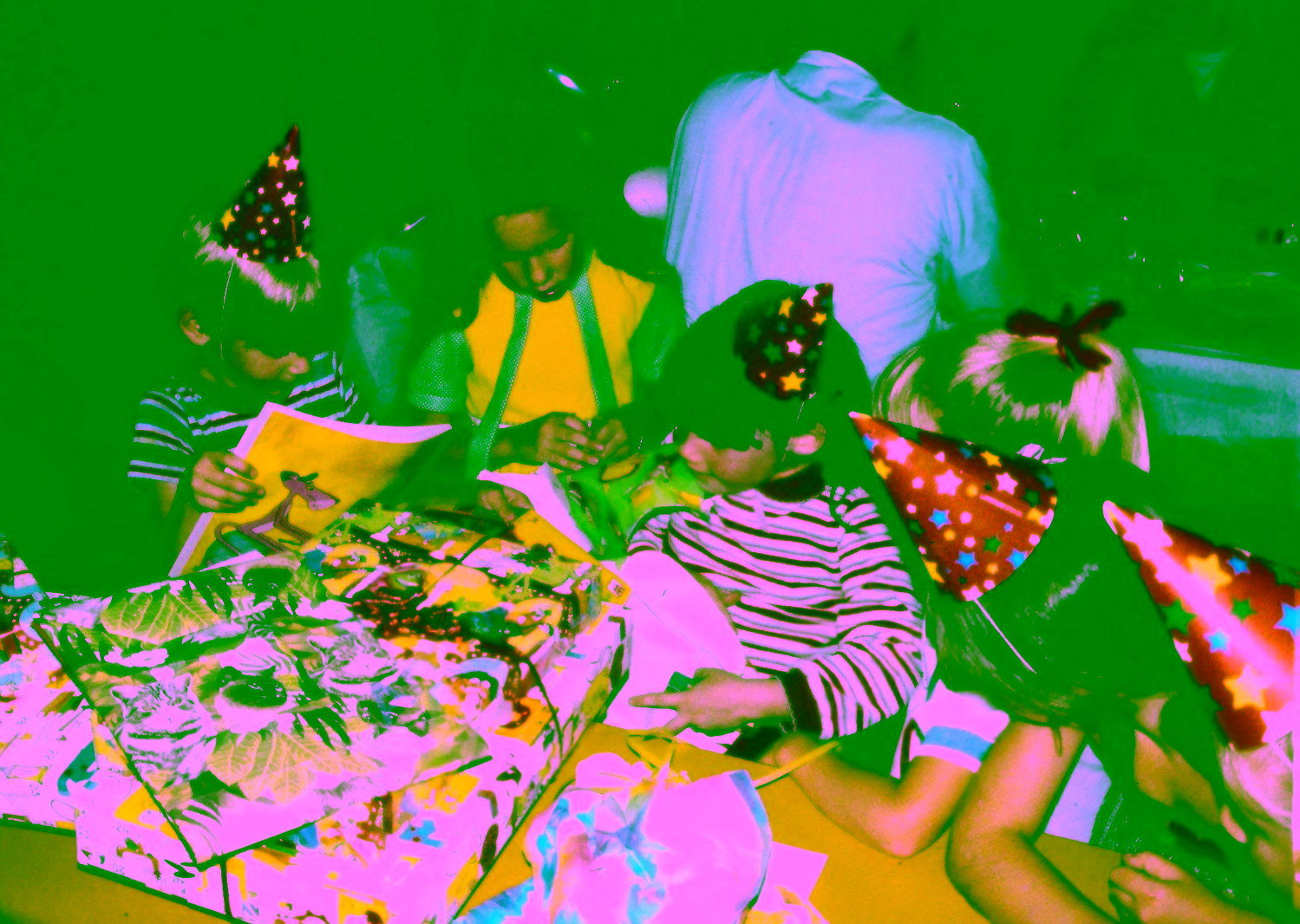 Birthday Party at Citrus Heights