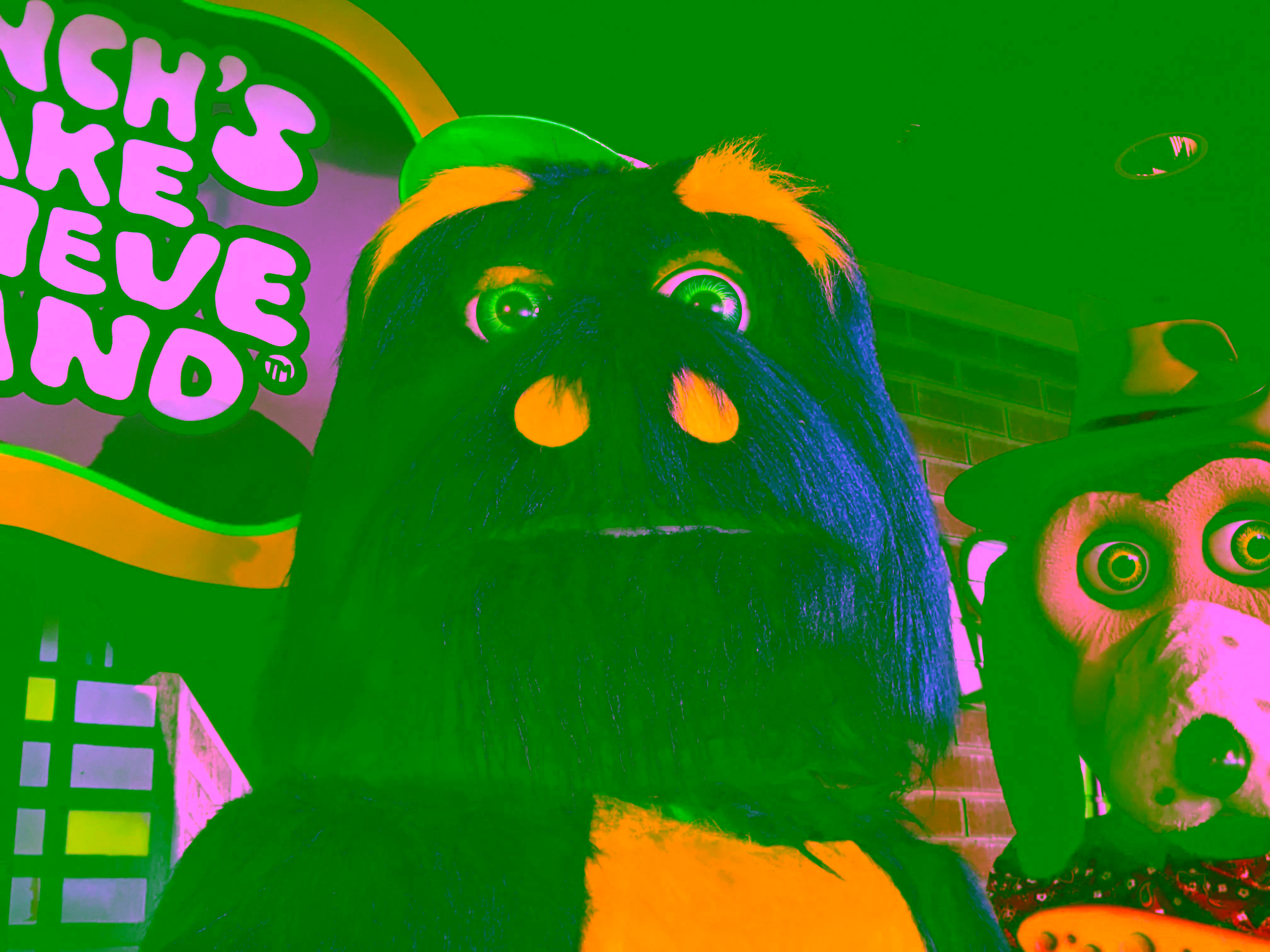 Huntington Beach photo.
