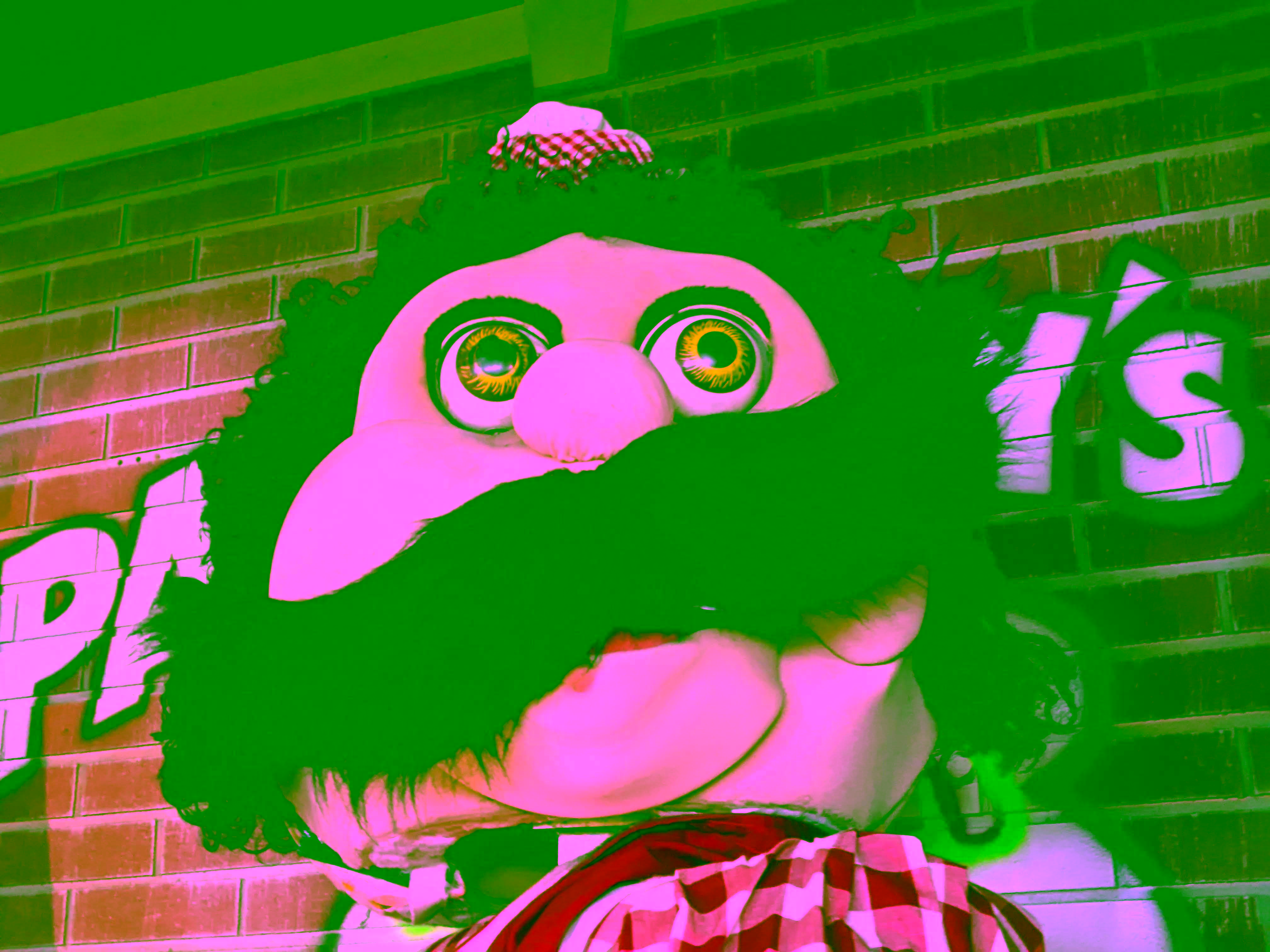 Huntington Beach photo.
