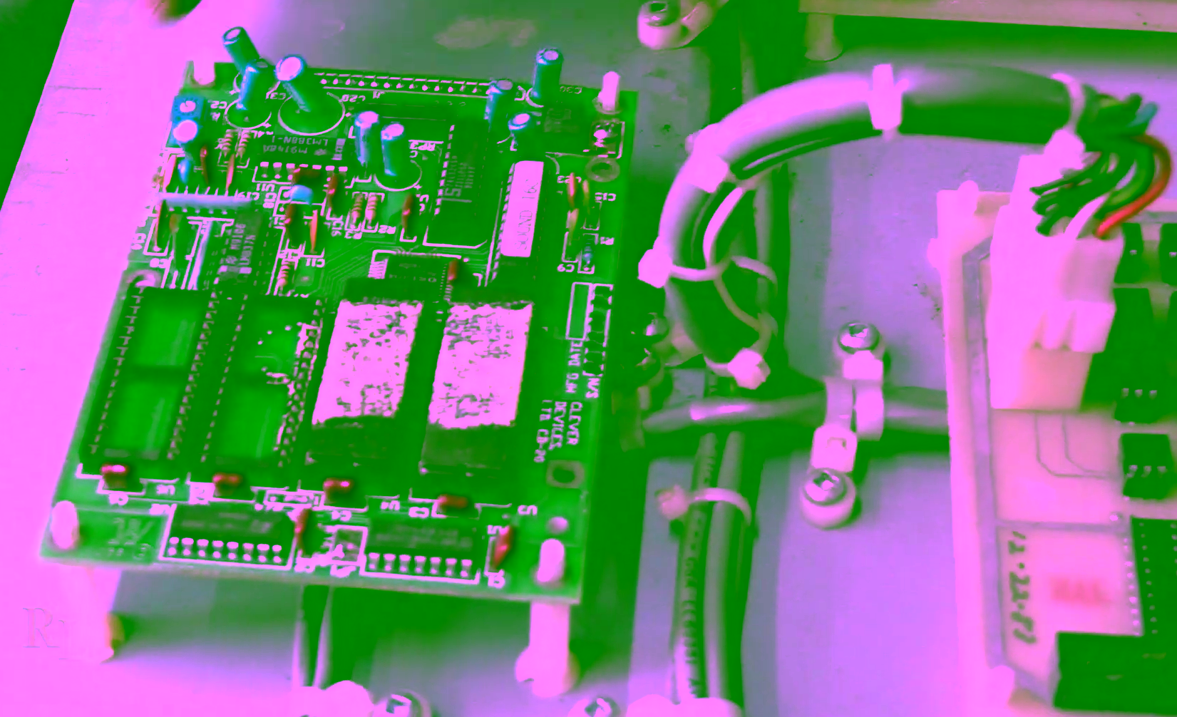 Whac-A-Munch interior at RandyLand