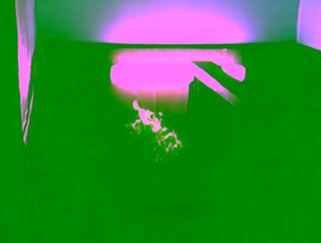 David Wheeler Concord Footage